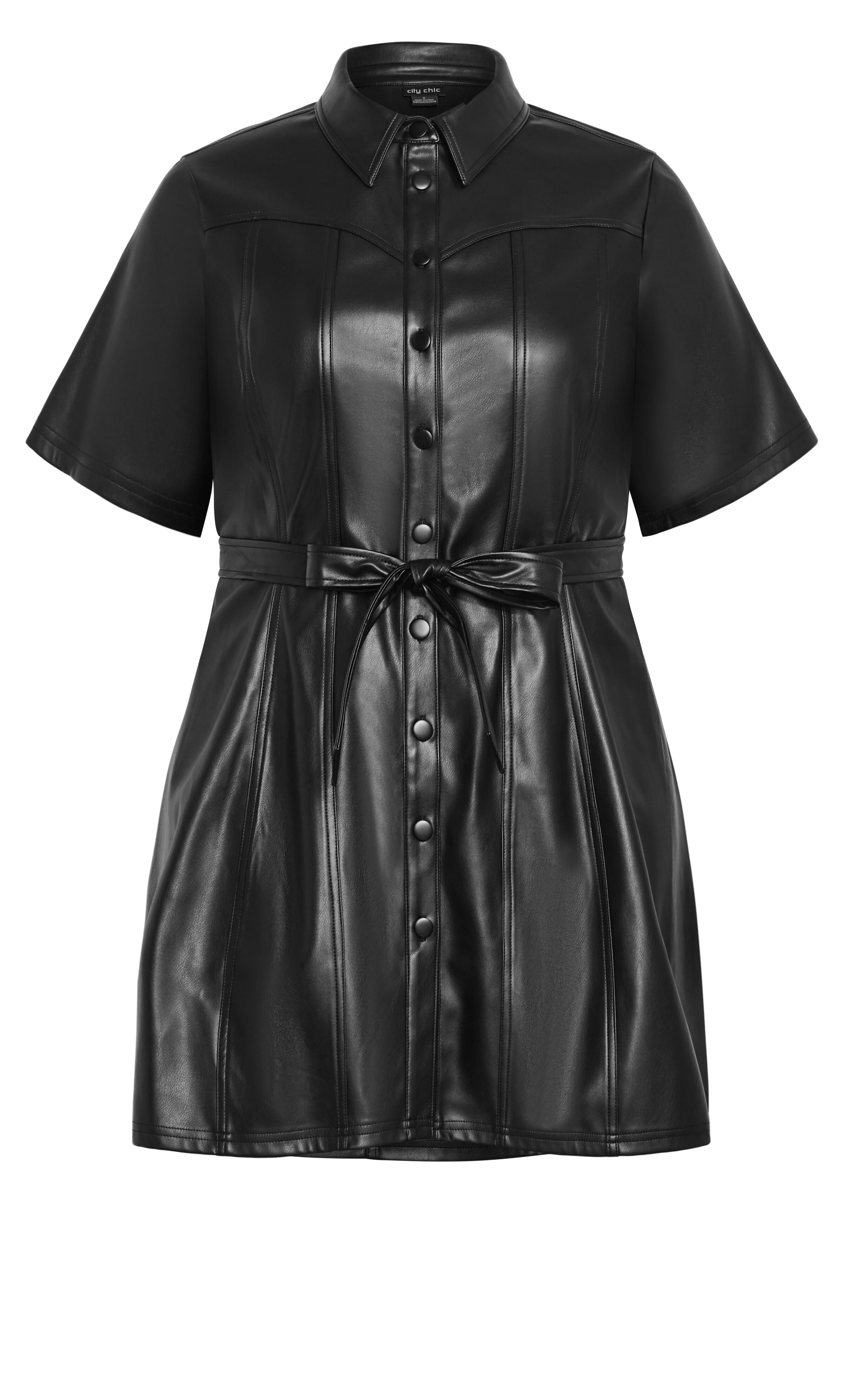 Faux Leather Hunter Dress - black, BLACK, alternate image number 4