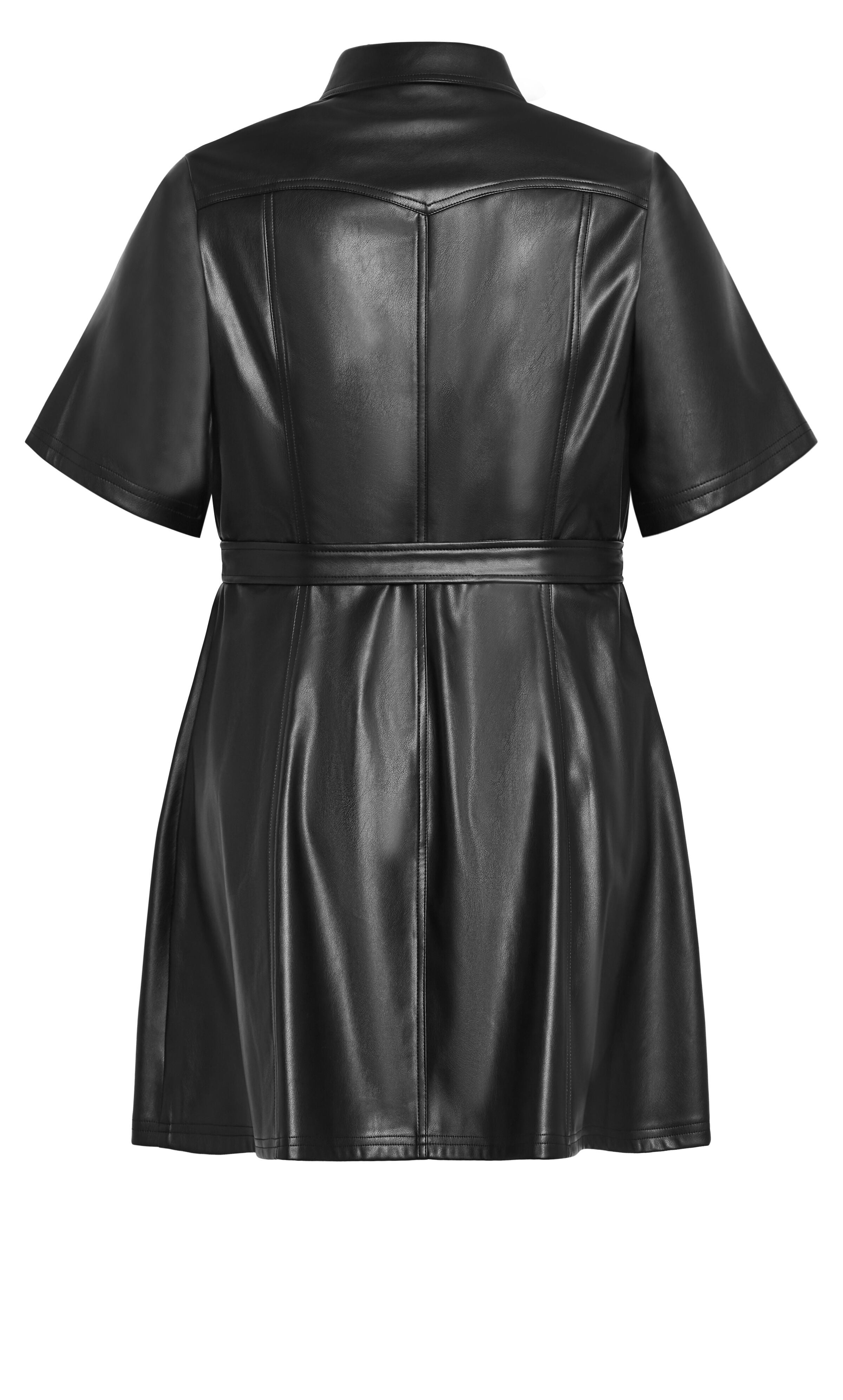 Faux Leather Hunter Dress - black, BLACK, alternate image number 5