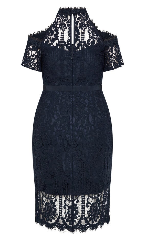 Pippa Lace Dress - navy, NAVY, alternate image number 5
