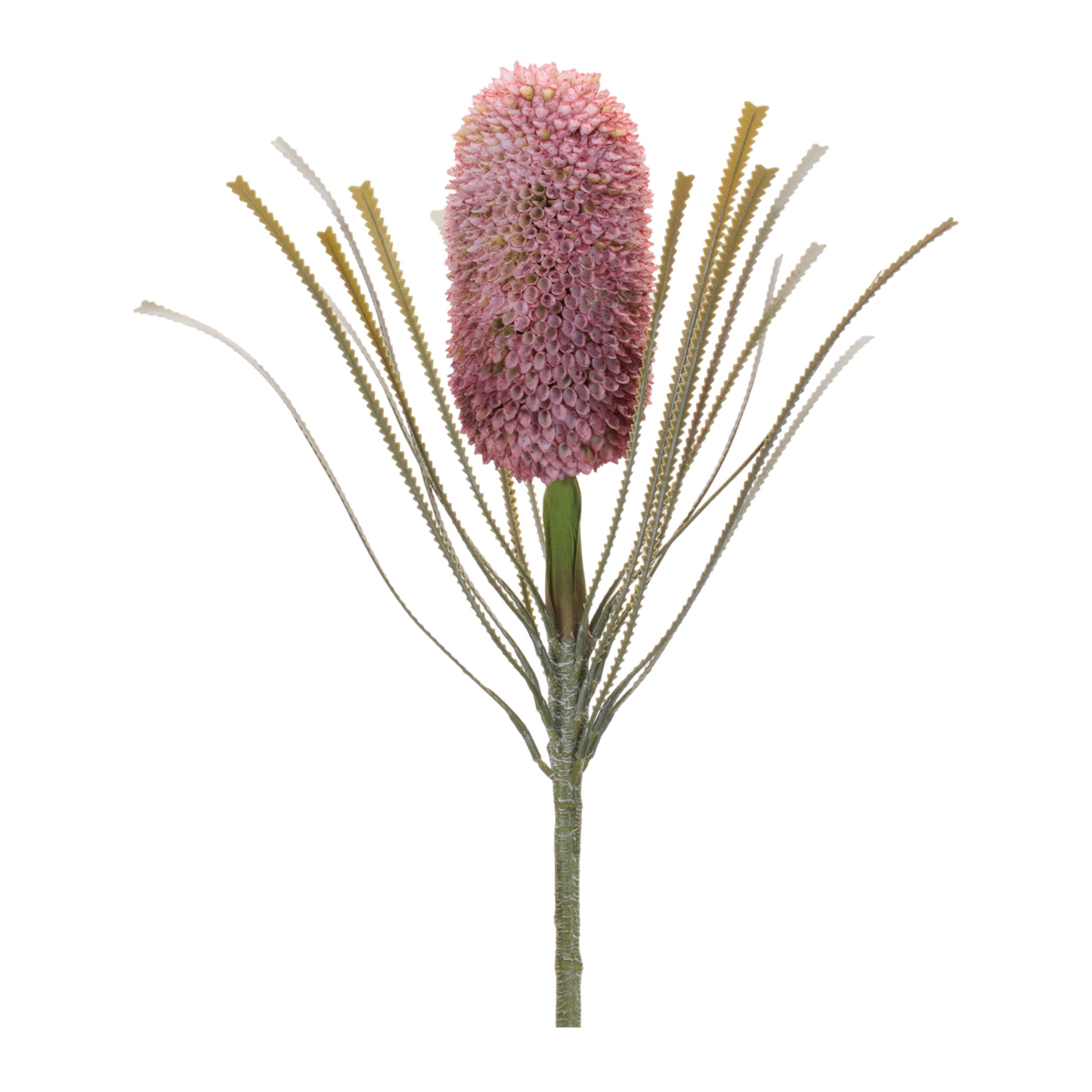 Protea Floral Stem Set of 2, RED GREEN, alternate image number 3