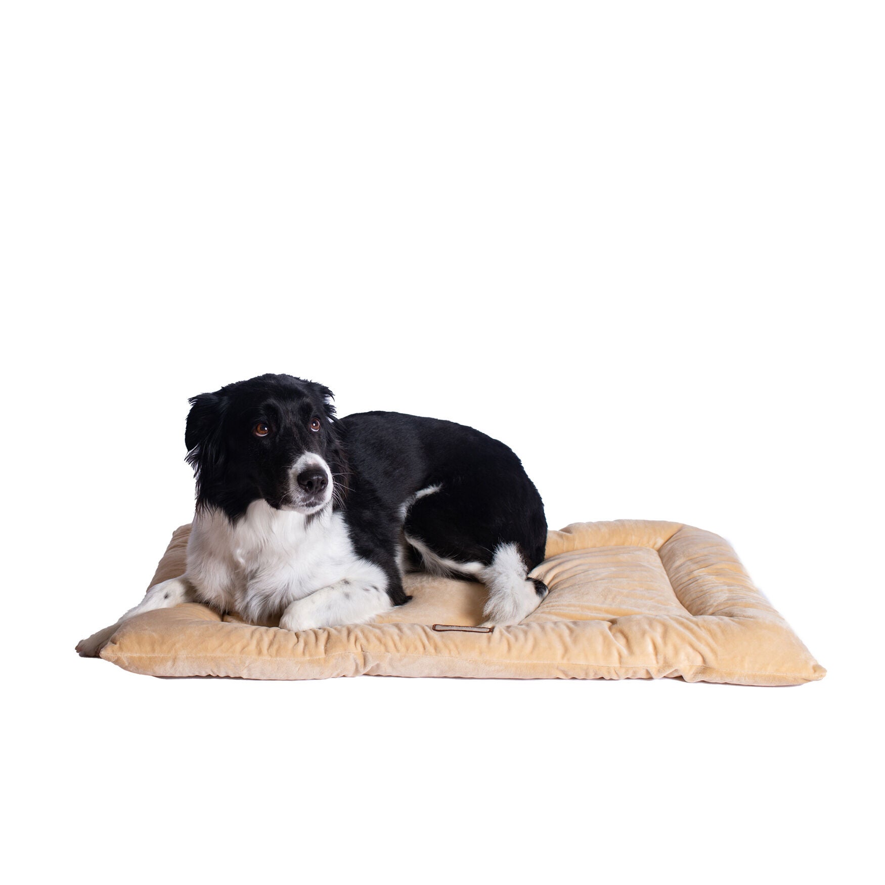 Large Pet Bed Mat , Dog Crate Soft Pad With Poly Fill Cushion, BEIGE, hi-res image number 0
