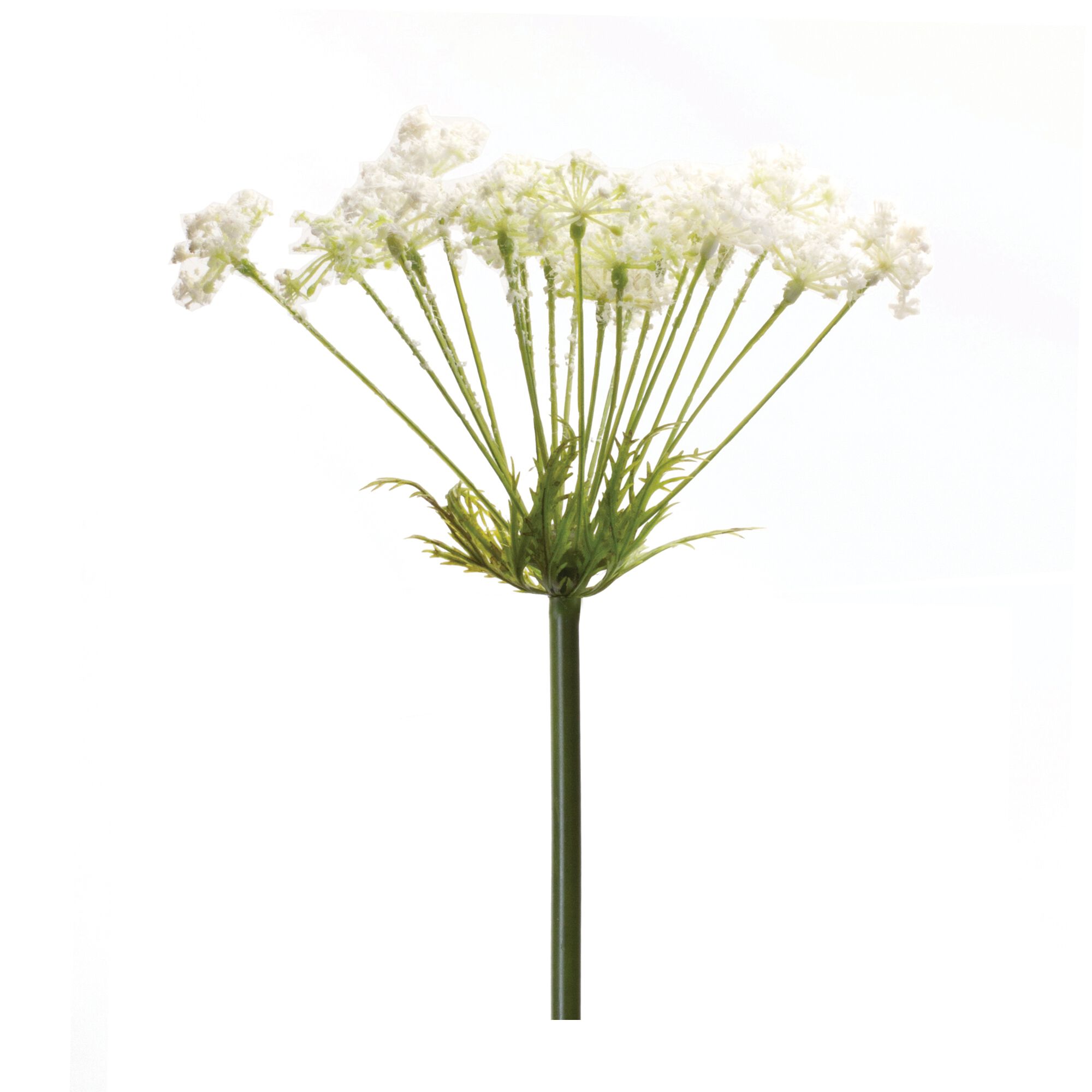 Queen Anne's Lace Stem (Set of 2) 29 inchesH Plastic, GREEN/WHITE, hi-res image number 0