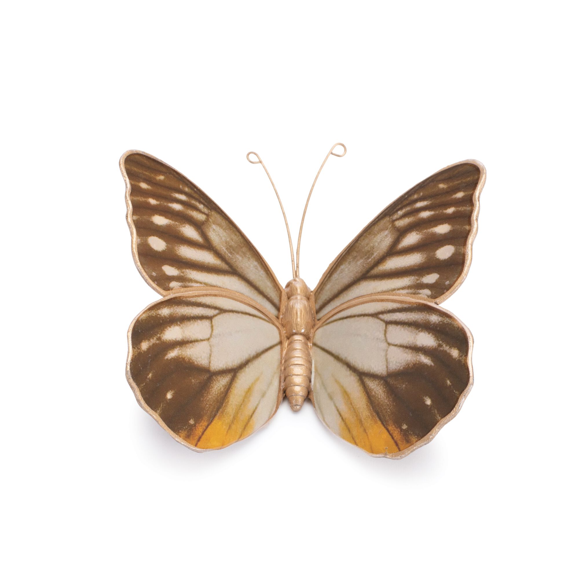 Amber Butterfly and Moth Shelf Sitter (Set of 2), WHITE/BROWN/ORANGE, alternate image number 2