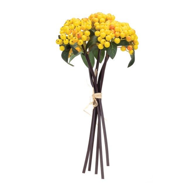 Yellow Berry Bundle (Set of 2), YELLOW GREEN, alternate image number 1