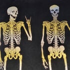 Edie @ Home Velvet Rocker Skeletons Decorative Throw Pillow 18X18, Black, , alternate image number null