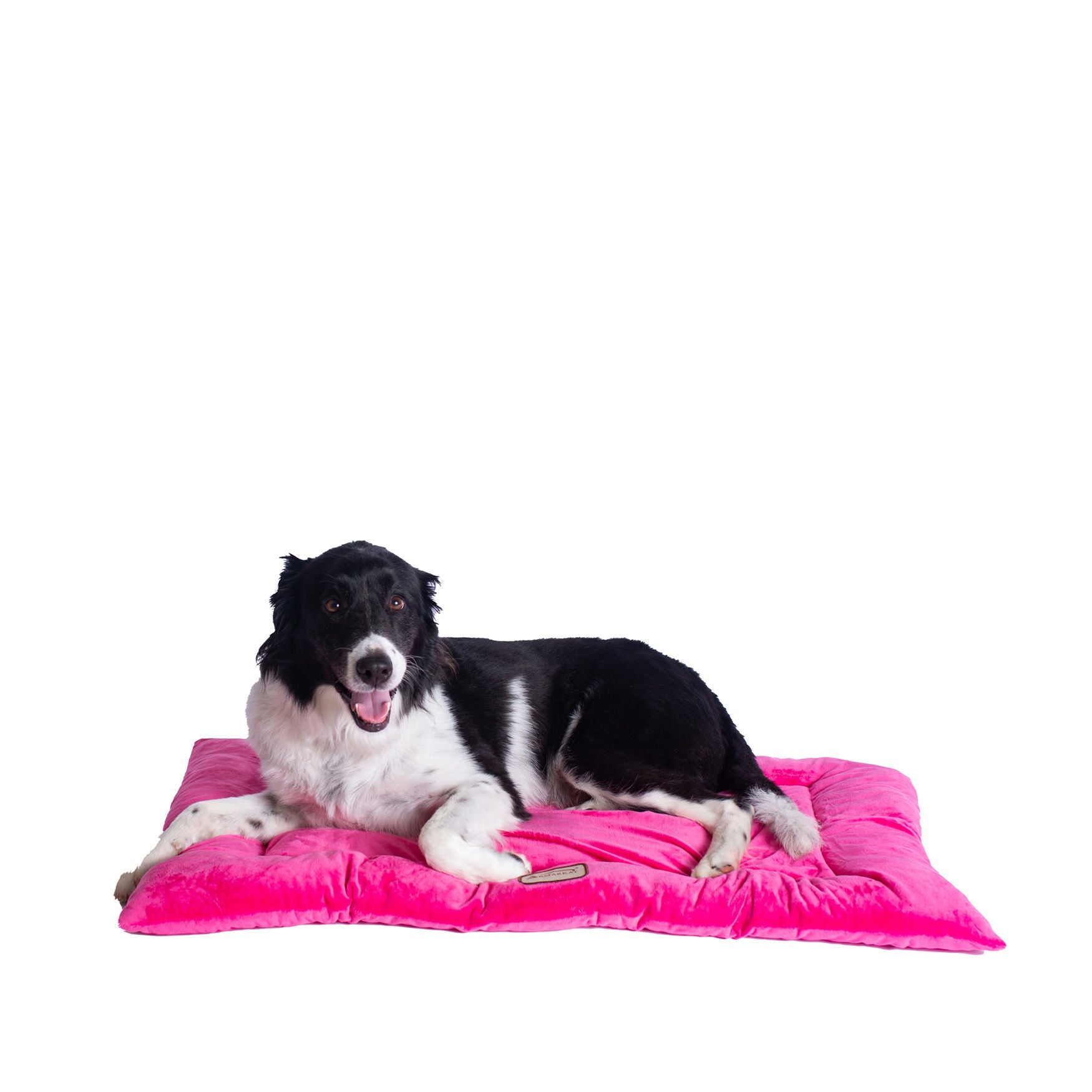 Large Pet Bed Mat , Dog Crate Soft Pad With Poly Fill Cushion, PINK, hi-res image number 0
