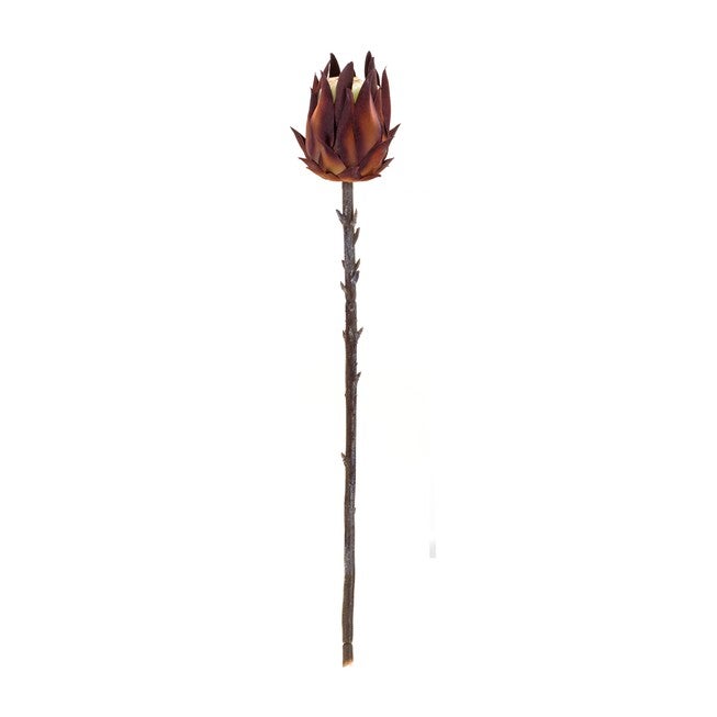 Protea Stem (Set of 6) 20 inchesH Plastic, ORANGE/BROWN, alternate image number null
