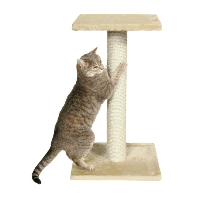 Espejo Scratching Post, , on-hover image number 1