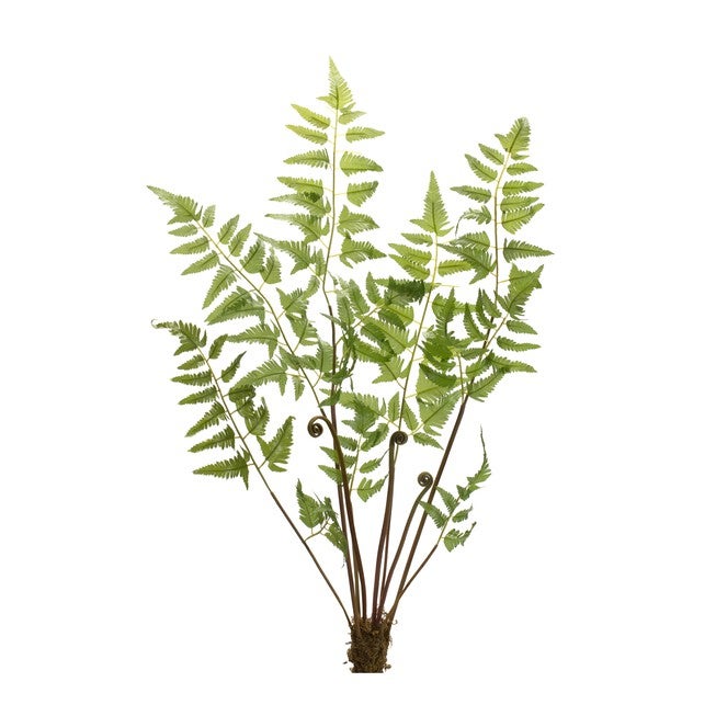 Fern Bundle (Set of 6) 37 inchesH Polyester, GREEN/BROWN, alternate image number 1