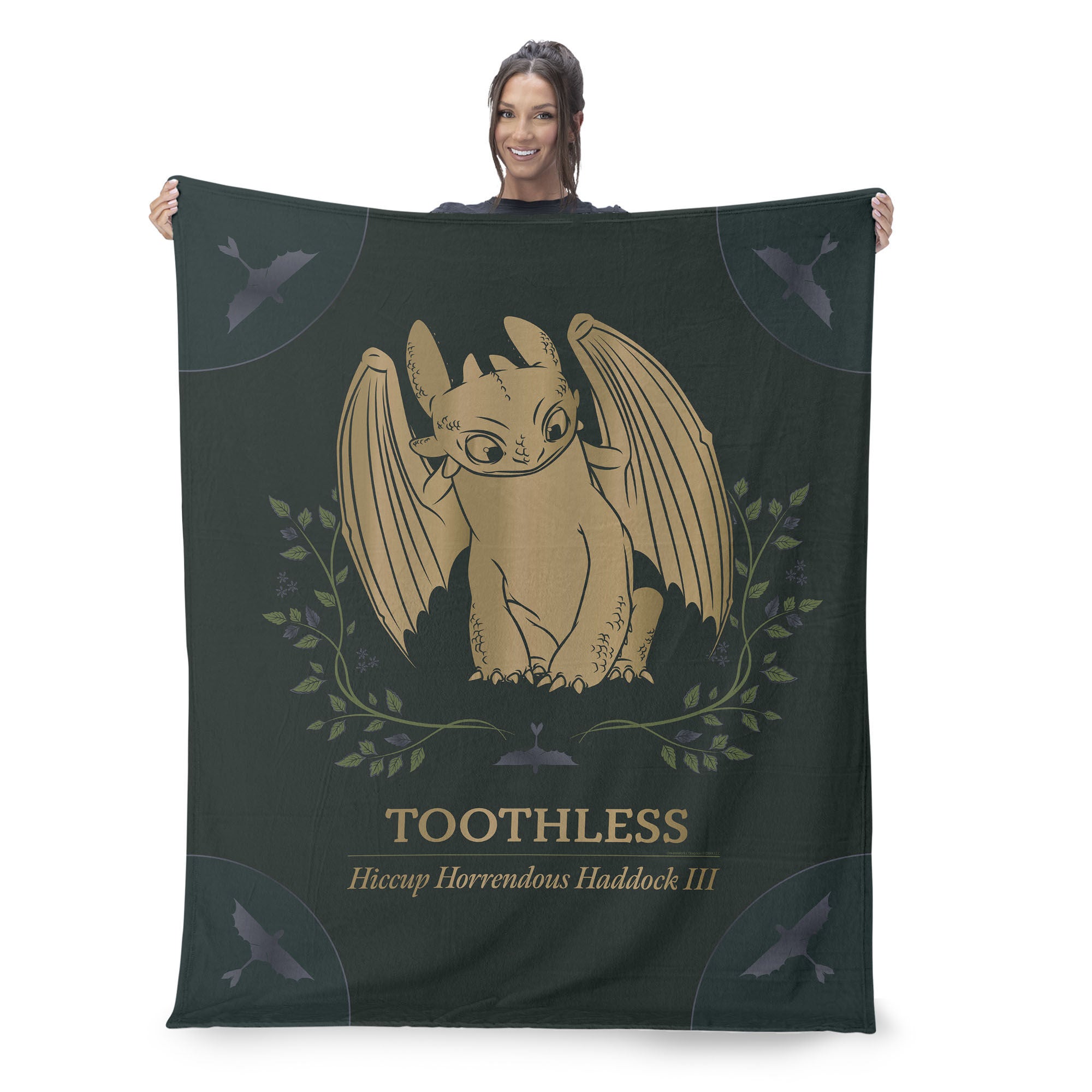 How to Train Your Dragon Hiccup and Toothless Silk Touch Sherpa Throw Blanket 50x60 inches, DRAGON, on-hover image number 1