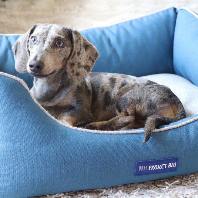 Marlin Eco-Fabric Mattress Dog Bed, , alternate image number 5