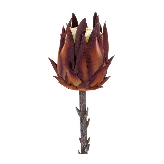 Protea Stem (Set of 6) 20 inchesH Plastic, ORANGE/BROWN, alternate image number null