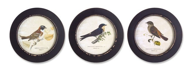 Wood Framed Encyclopedia Bird Print (Set of 3) 9.5 inchesD, BLACK, hi-res image number 0