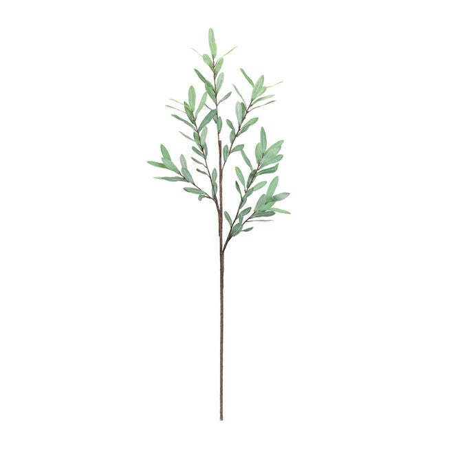 Olive Leaf Twig Branch (Set of 2), GREEN, alternate image number 1