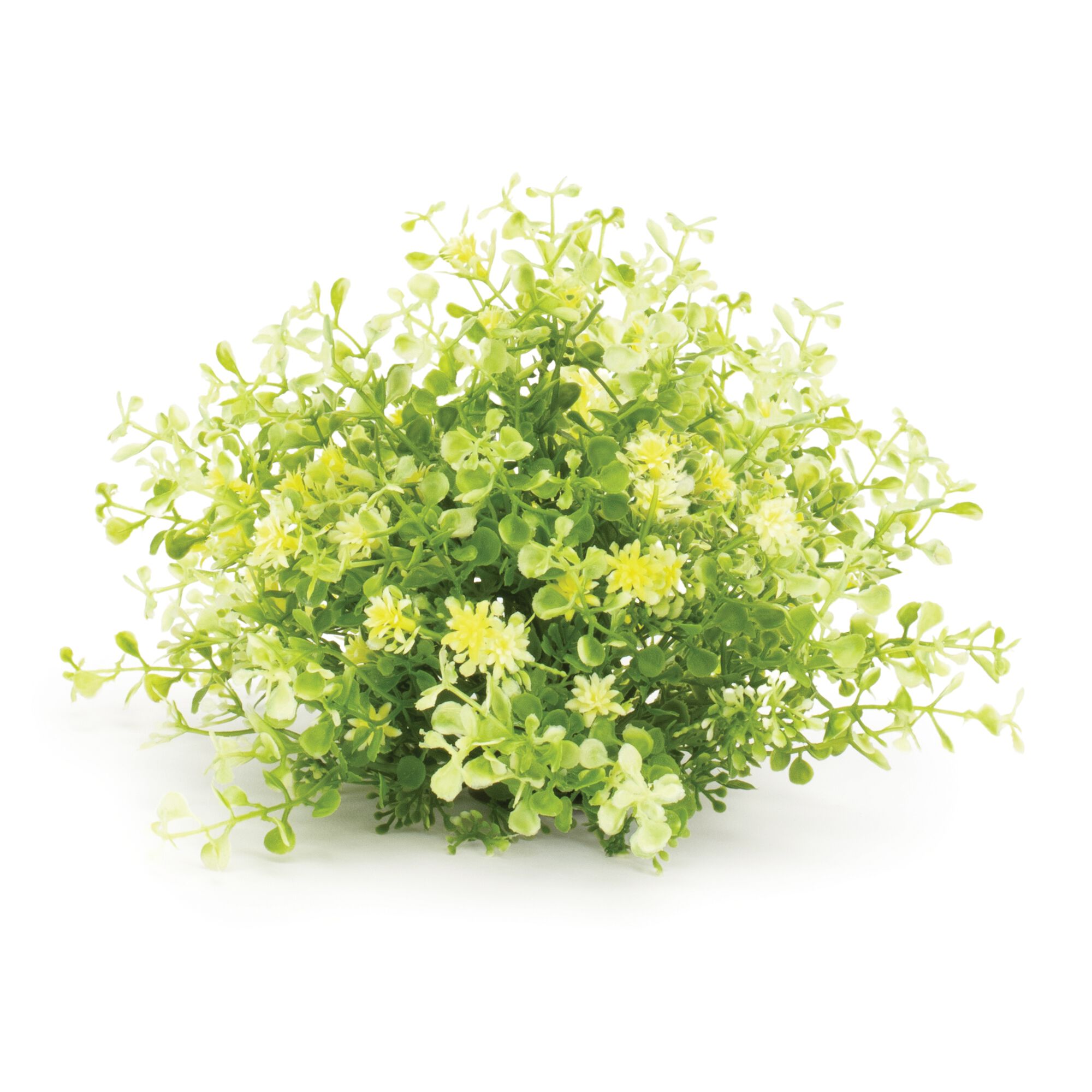 Mini Leaf Foliage Half Orb (Set of 2), GREEN, hi-res image number 0