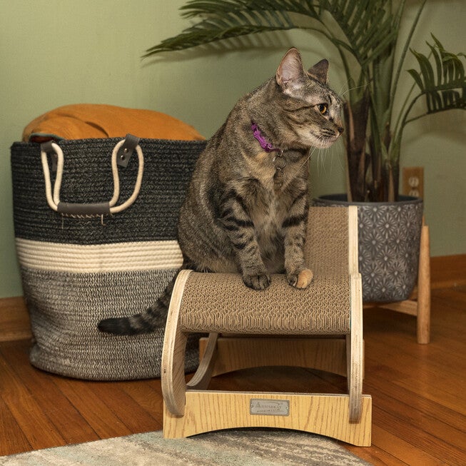 Armarkat Real Wood Medium Wooden Cat Rocking Chair, Detachable Cat Swing Chair S1302 Cat Chair, , alternate image number 3