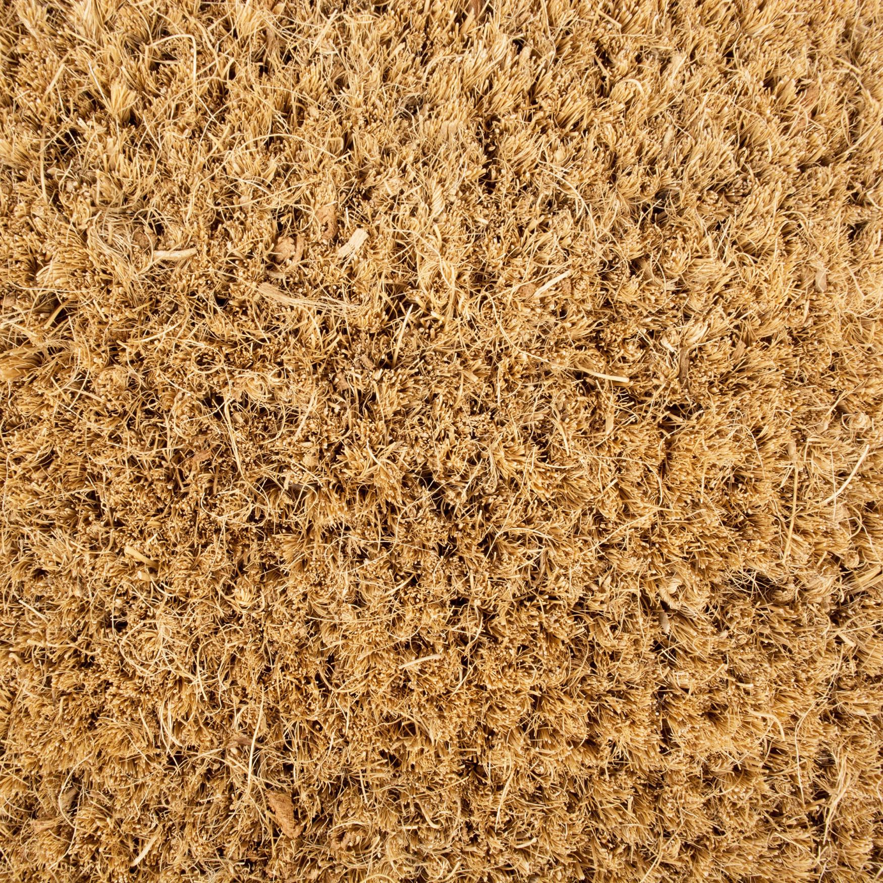 Bicycle Doormat Floor Coverings, , alternate image number 5