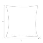 18" Decorative Pillow, , alternate image number null