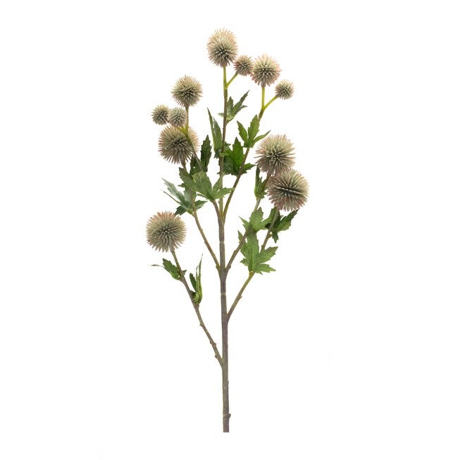Allium Spray (Set of 6) 26 inchesH Plastic/Polyester, GREEN/BROWN, alternate image number 1