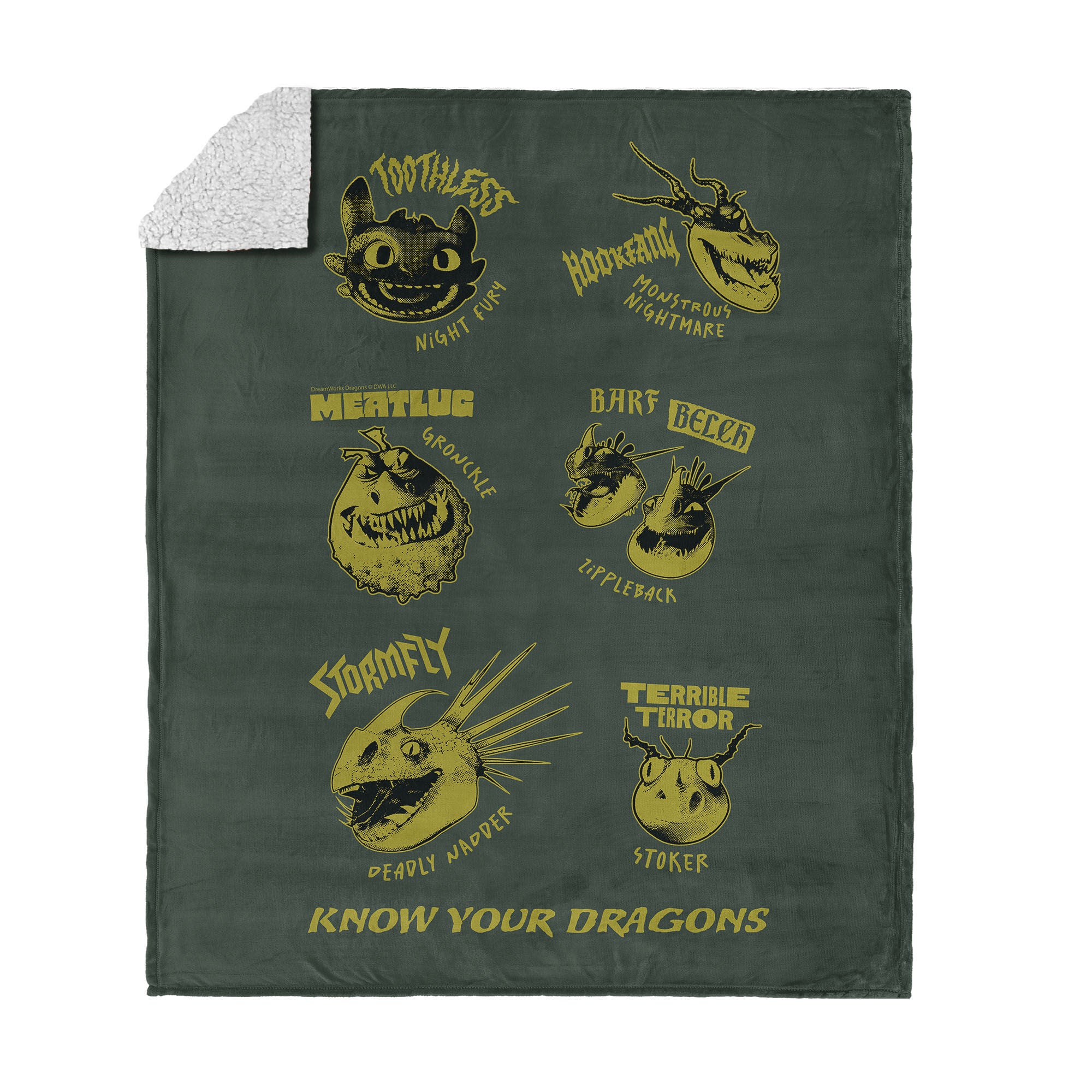How to Train Your Dragon Know Your Dragons Silk Touch Sherpa Throw Blanket 50x60 inches, GREEN, hi-res image number 0
