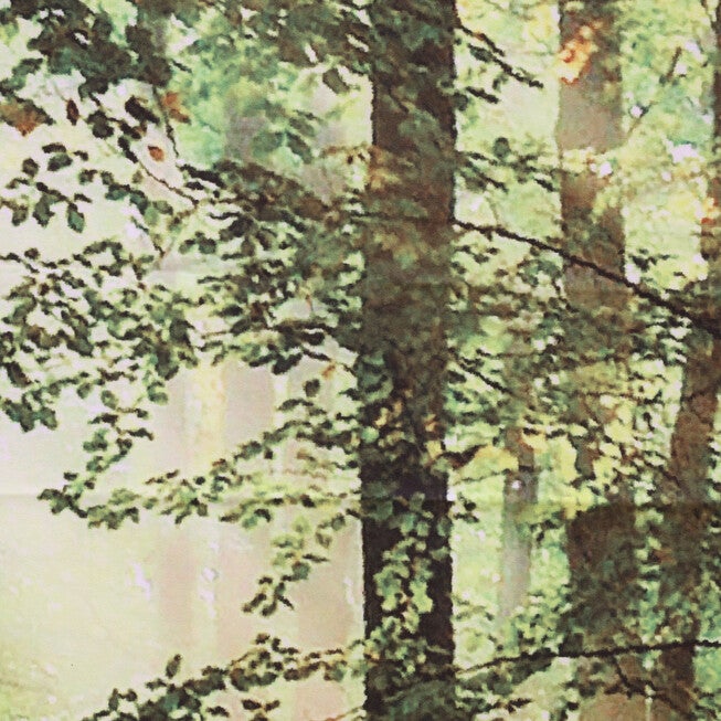 Photo Real Forest Light Filtering Pole Top Curtain Panel Pair, , alternate image number 2