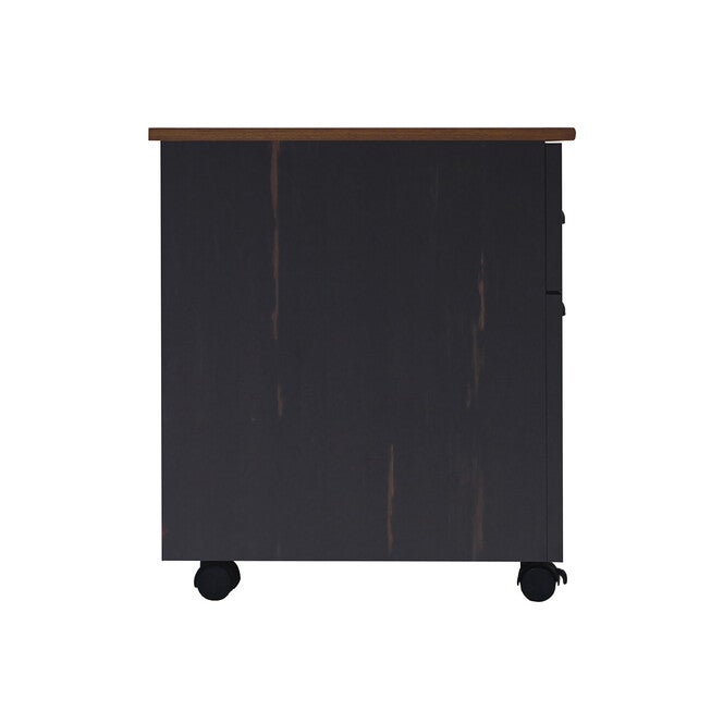 Hawksbury 2 Drawer Mobile File Cabinet File Cabinet, , alternate image number null