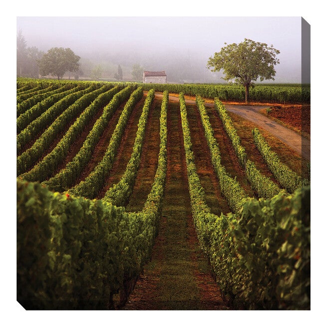 All Weather All Season Outdoor Canvas Art, MULTI, hi-res image number 0
