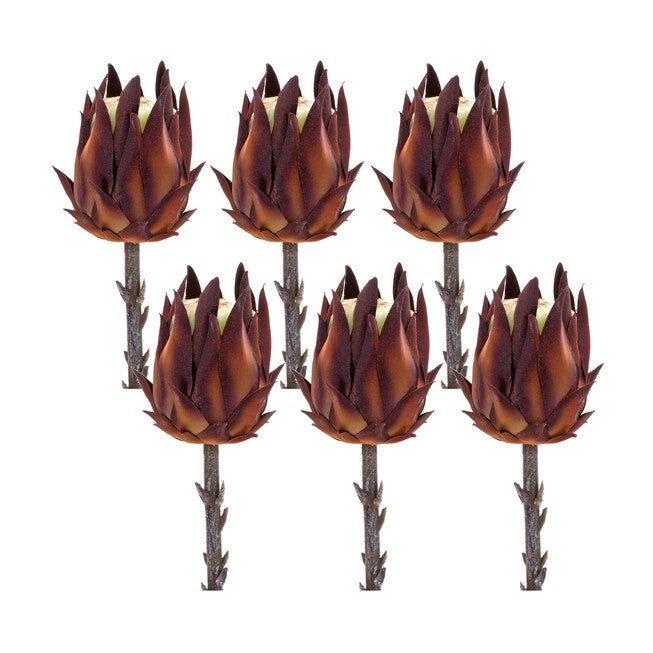 Protea Stem (Set of 6) 20 inchesH Plastic, ORANGE/BROWN, hi-res image number null