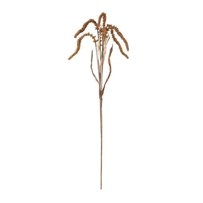 Amaranthus Stem (Set Of 12), , on-hover image number 1