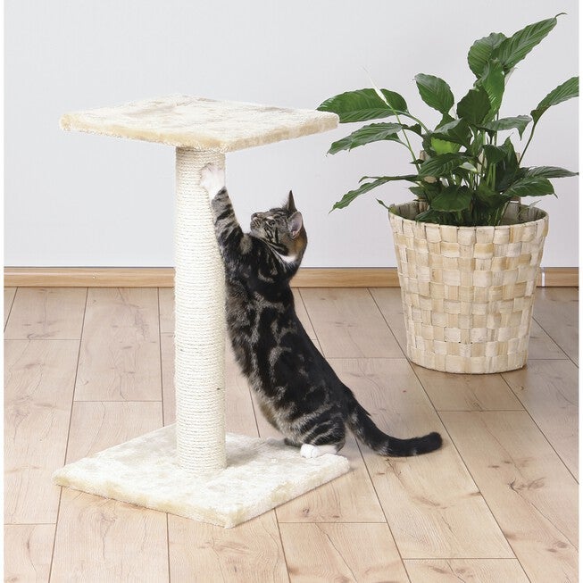 Espejo Scratching Post, , alternate image number 2
