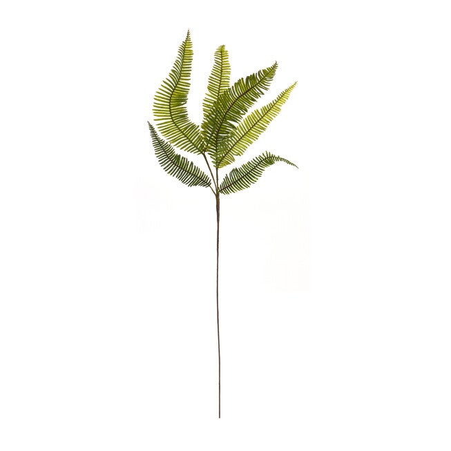 Varigated Fern Foliage Spray (Set Of 6), , on-hover image number 1