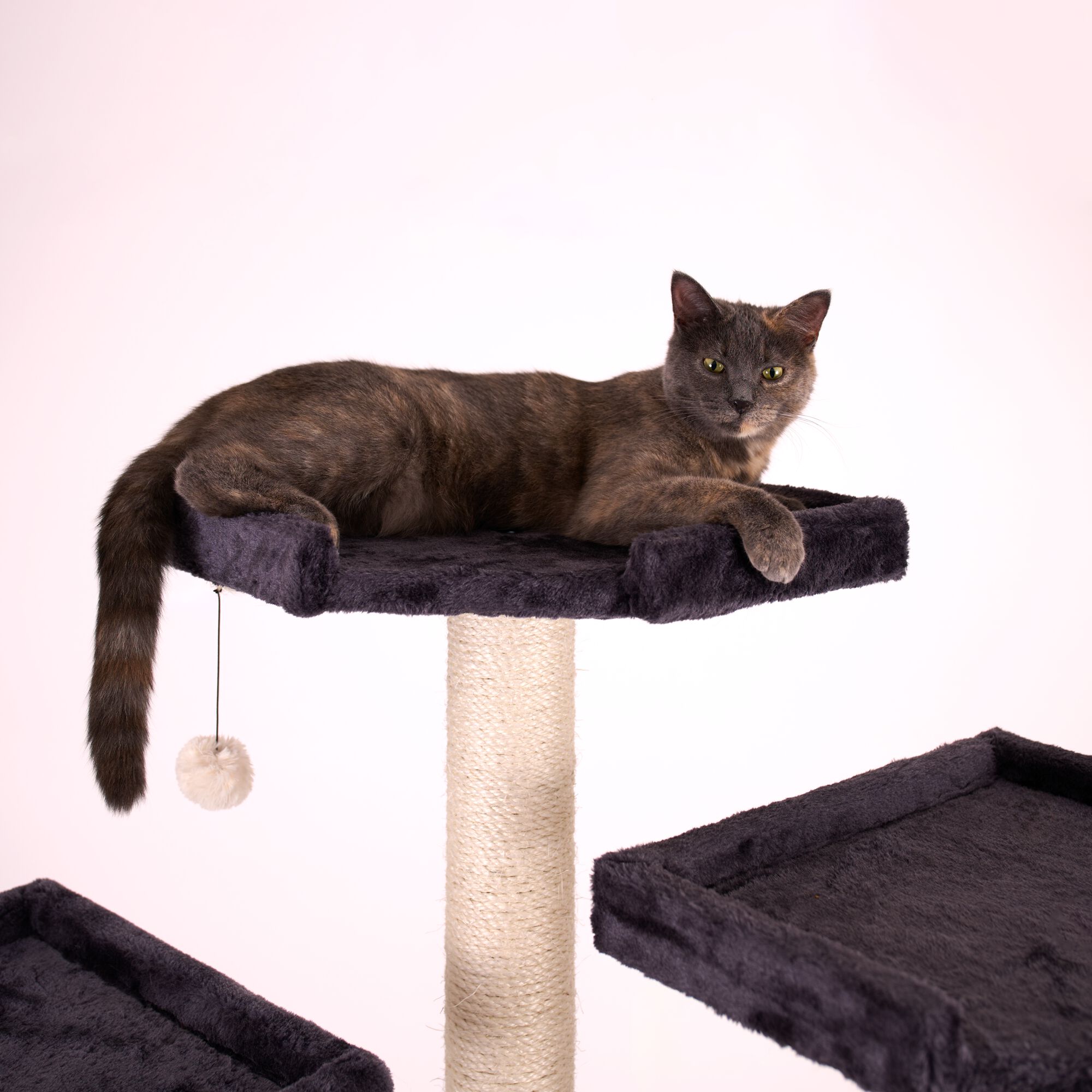 82 Inches Multi-Level Big Cat Tree. Tall Multi-Cats Tower with 2 Big Cat Condos A8202, DARK GRAY, alternate image number 7
