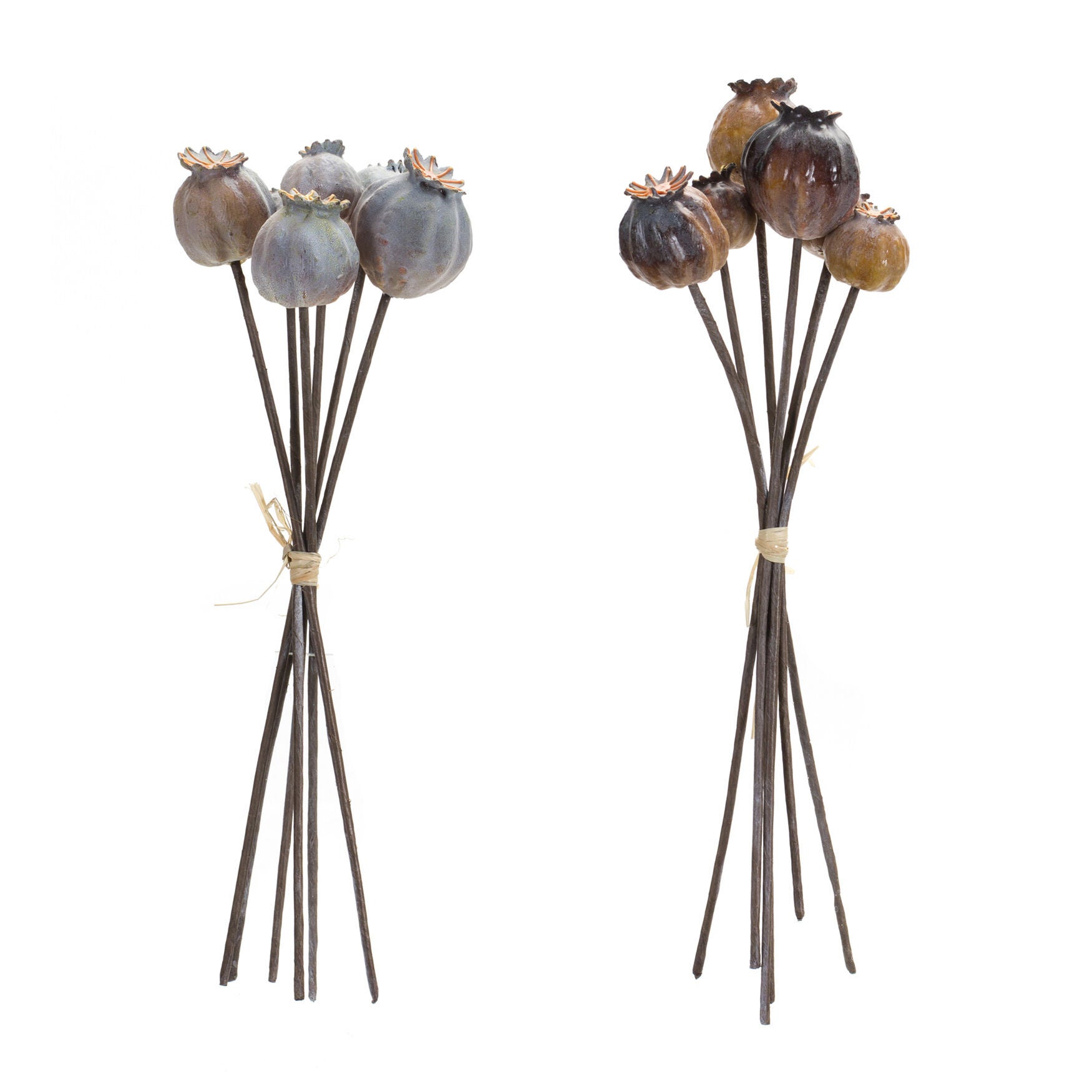 Poppy Pod Foliage Bundle (Set Of 6), , on-hover image number 1