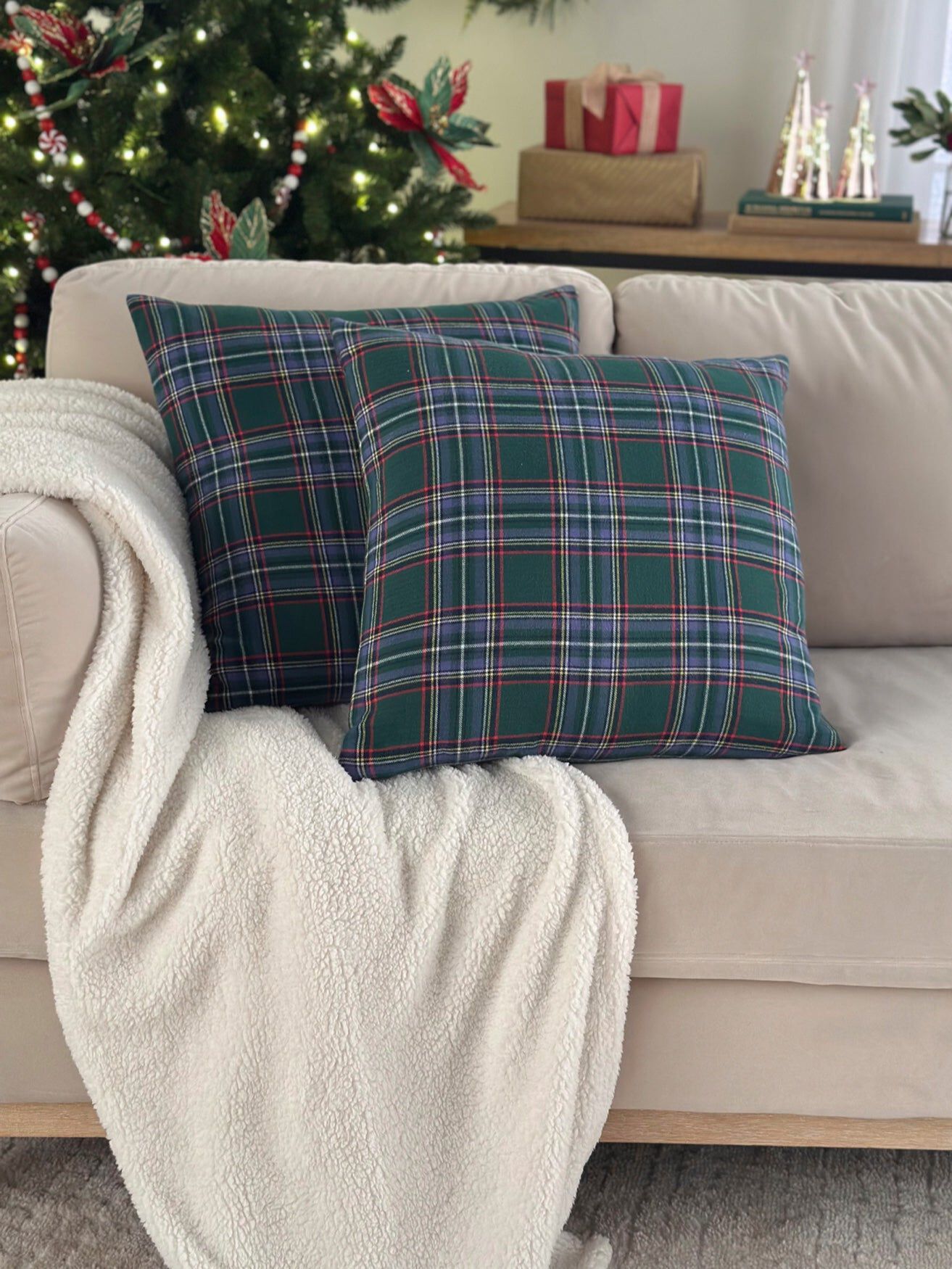 Set of 2 Decorative Pillows, 20" x 20"