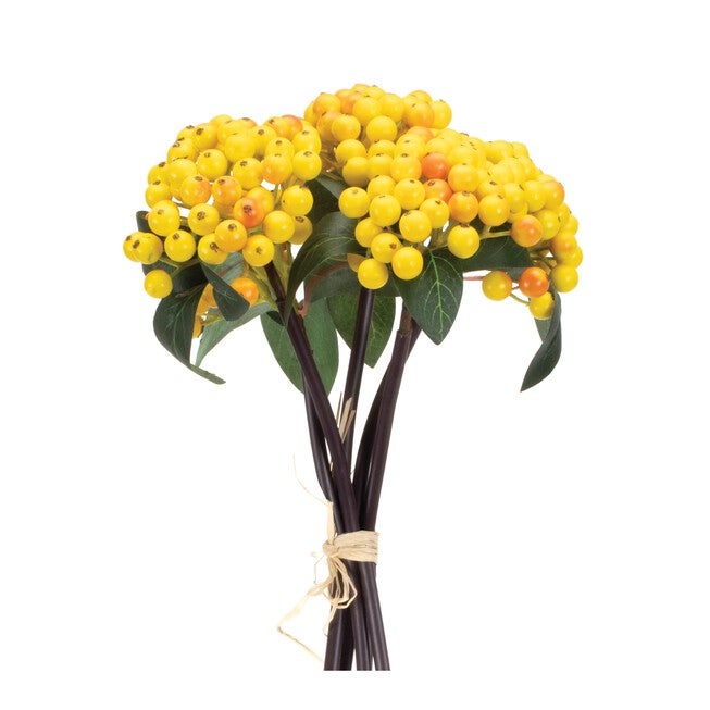 Yellow Berry Bundle (Set of 2), YELLOW GREEN, hi-res image number 0