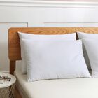 Twin Pack Duck Down Blended Bed Pillows with Cotton Cover, WHITE, hi-res image number null