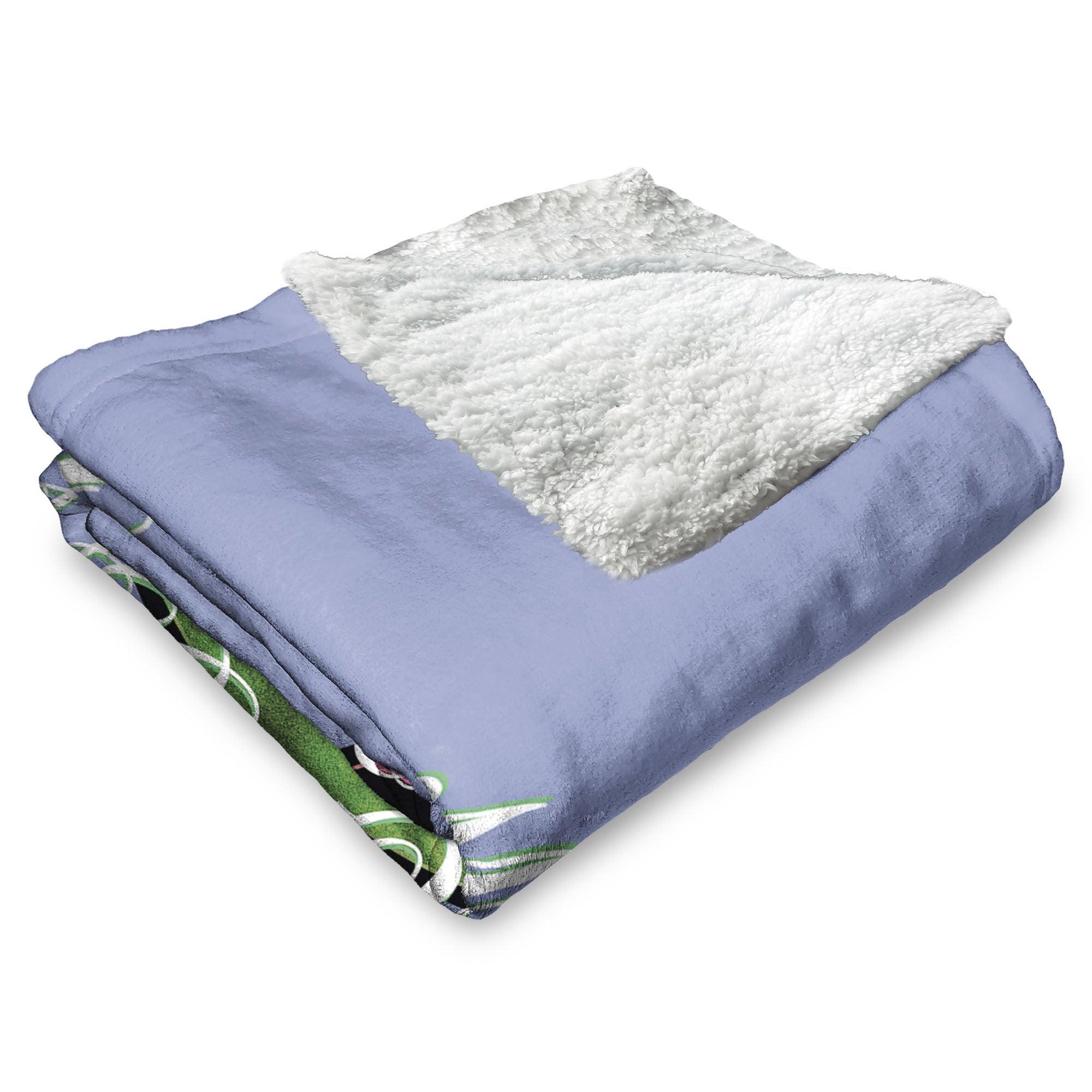 Warner Bros. The Wizard of Oz Good Witch Silk Touch Sherpa Throw Blanket 50x60 Inches, OZ THROW, alternate image number 3