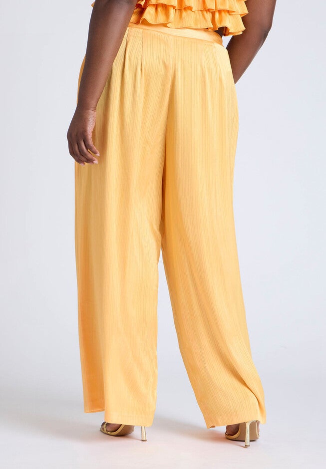 Wide Leg Pant With Pleat, DRIED APRICOT, alternate image number null
