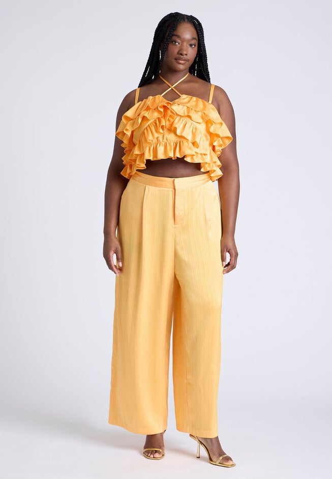 Wide Leg Pant With Pleat, DRIED APRICOT, hi-res image number null