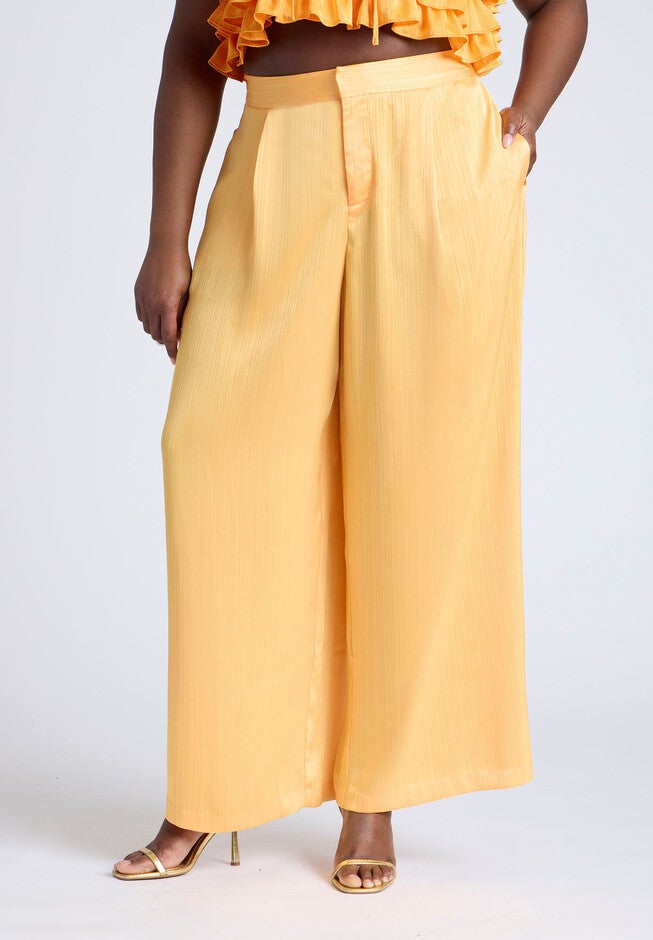 Wide Leg Pant With Pleat, DRIED APRICOT, on-hover image number null