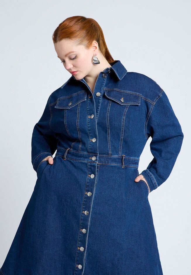 Denim Fit And Flare Shirt Dress, INDIGO RINSE, alternate image number null