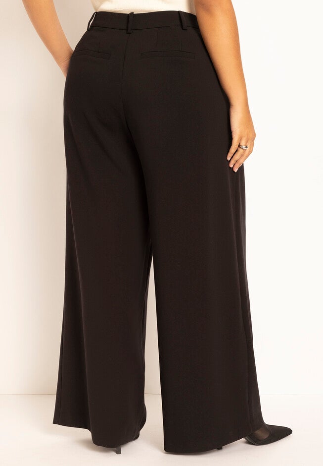 Pleat Front Wide Leg Trouser, , alternate image number null