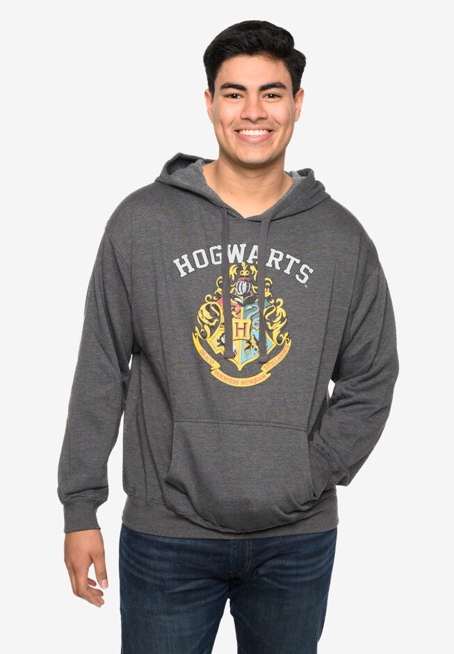 Men's Harry Potter Hoodie Sweatshirt Pullover Hogwarts Gryffindor Slytherin, GRAY, on-hover image number null