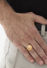 Men's Gold over Sterling Silver Genuine Diamond Accent Lion Ring, , alternate image number 2