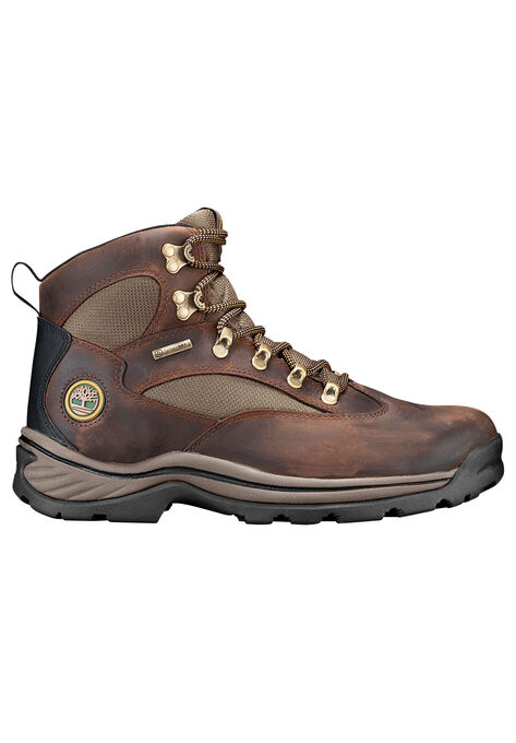Timberland® Chocorua Trail Waterproof Hiking Boot, , alternate image number null