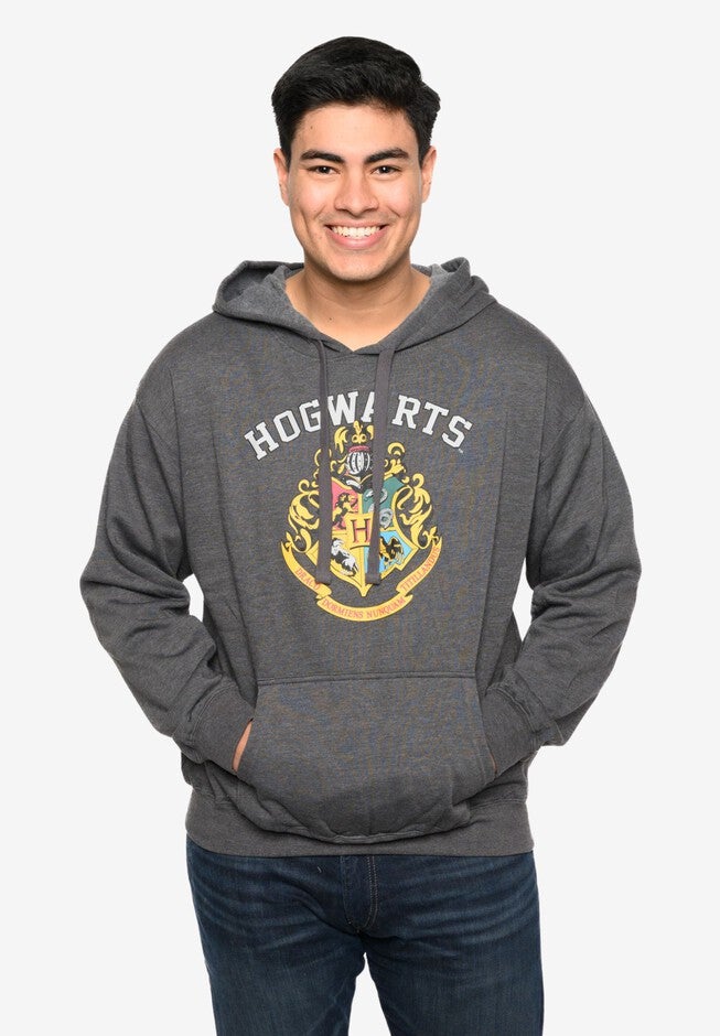 Men's Harry Potter Hoodie Sweatshirt Pullover Hogwarts Gryffindor Slytherin, GRAY, alternate image number null