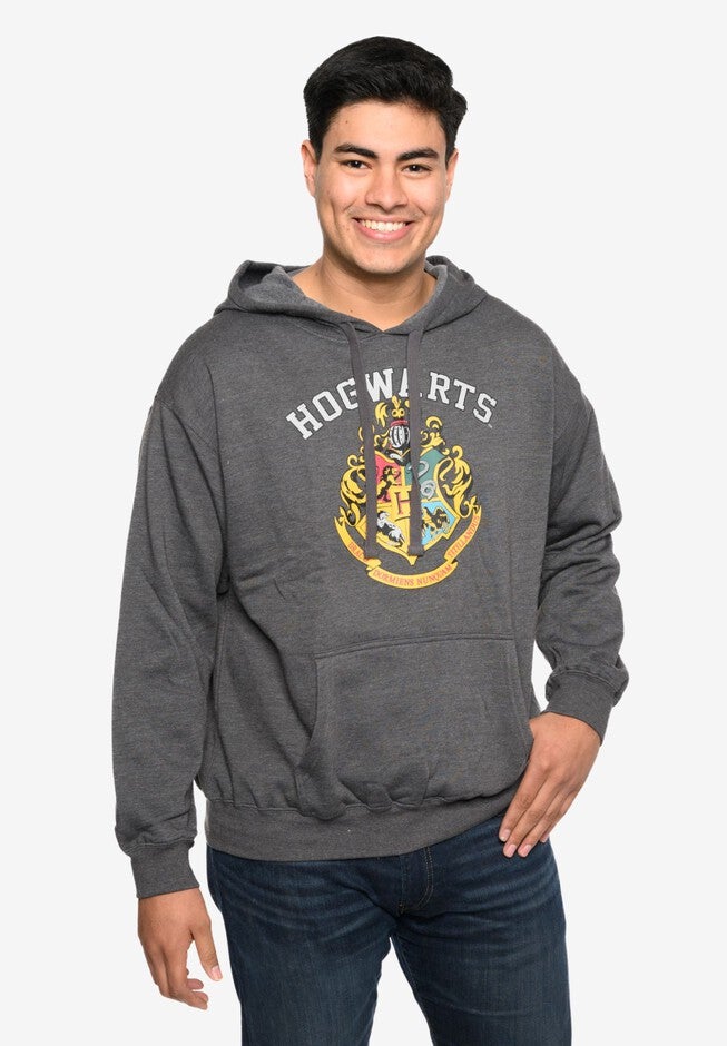Men's Harry Potter Hoodie Sweatshirt Pullover Hogwarts Gryffindor Slytherin, GRAY, alternate image number null