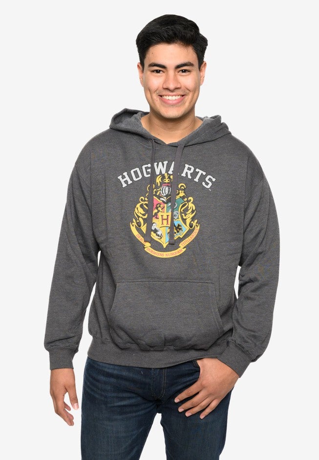 Men's Harry Potter Hoodie Sweatshirt Pullover Hogwarts Gryffindor Slytherin, GRAY, hi-res image number null
