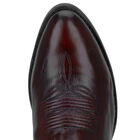 Dan Post 13" Cowboy Heel Boots, , alternate image number null