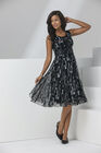 Sleeveless Mesh Dress, , alternate image number null